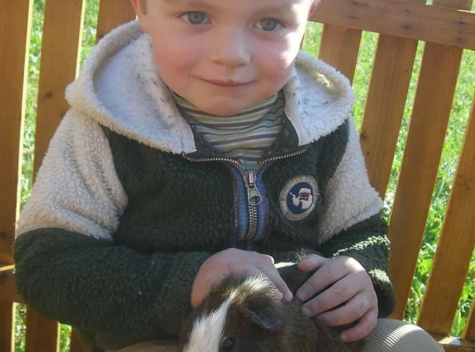 Of The Colosseum Farma